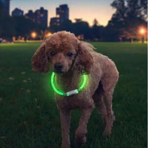 Nite Ize NiteHowl Rechargeable LED Safety Necklace,EQUIPMENTLIGHTACCESSORYS,NITEIZE,Gear Up For Outdoors,