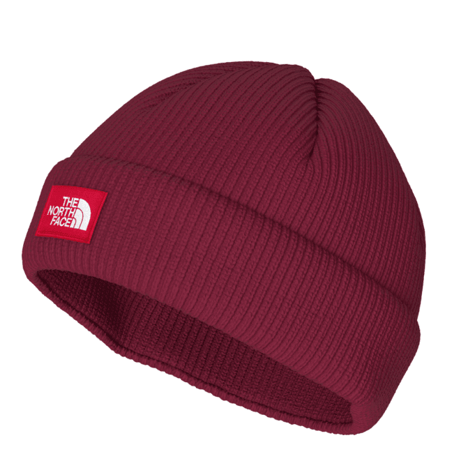 The North Face Salty Lined Beanie,UNISEXHEADWEARTOQUES,THE NORTH FACE,Gear Up For Outdoors,