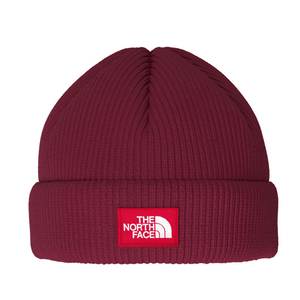 The North Face Salty Lined Beanie,UNISEXHEADWEARTOQUES,THE NORTH FACE,Gear Up For Outdoors,