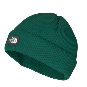 The North Face Salty Lined Beanie,UNISEXHEADWEARTOQUES,THE NORTH FACE,Gear Up For Outdoors,