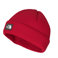 The North Face Salty Lined Beanie,UNISEXHEADWEARTOQUES,THE NORTH FACE,Gear Up For Outdoors,