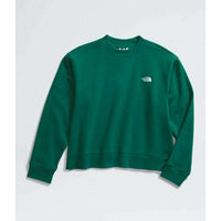 The North Face Womens Evolution Fleece Crew,WOMENSMIDLAYERSPULLOVERS,THE NORTH FACE,Gear Up For Outdoors,